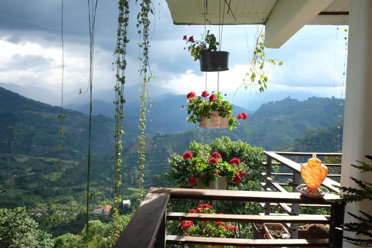 Casa Nativo Villa Jardin Luaran gambar