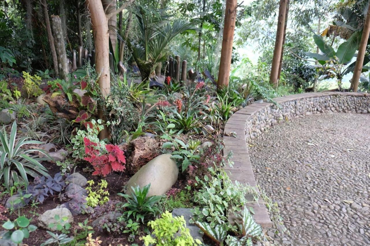 Casa Nativo Villa Jardin Luaran gambar